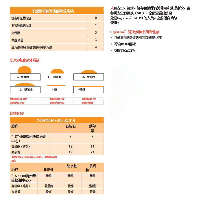 頂石Capstone? ST-200(圖2)