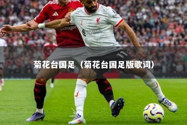 菊花臺(tái)國(guó)足（菊花臺(tái)國(guó)足版歌詞）