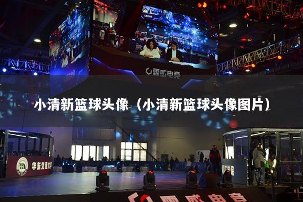 小清新籃球頭像（小清新籃球頭像圖片）