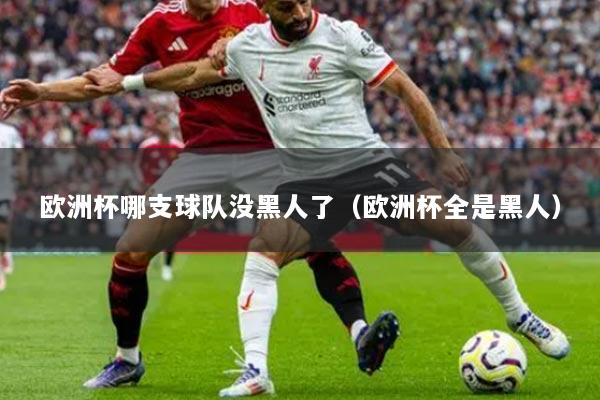 歐洲杯哪支球隊(duì)沒黑人了（歐洲杯全是黑人）