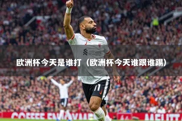 歐洲杯今天是誰打（歐洲杯今天誰跟誰踢）