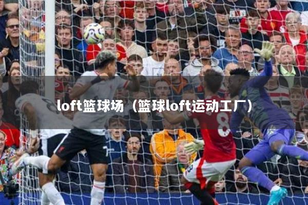 loft籃球場(chǎng)（籃球loft運(yùn)動(dòng)工廠）