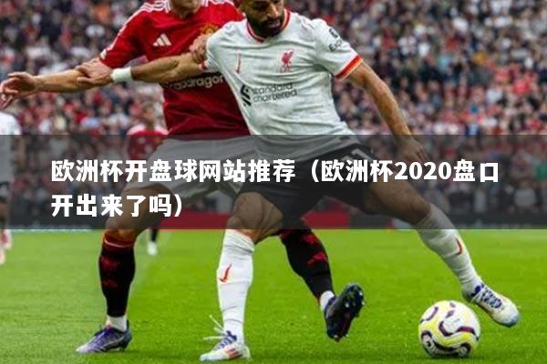 歐洲杯開盤球網(wǎng)站推薦（歐洲杯2020盤口開出來了嗎）