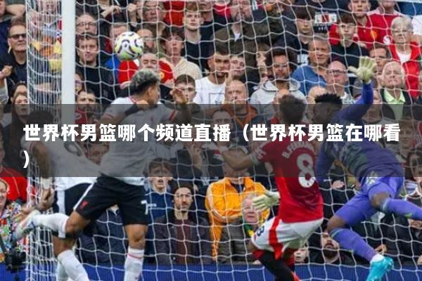 世界杯男籃哪個頻道直播（世界杯男籃在哪看）